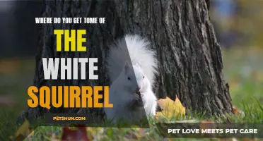 Unraveling the Mystery: Where Can You Find the Tome of the White Squirrel?