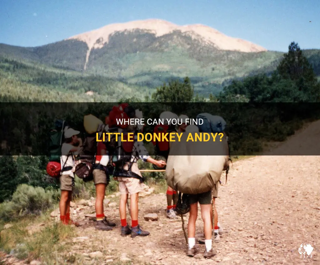 where is little donkey andy located