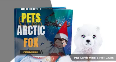 Where to Find Elf Pets Arctic Fox for Purchase