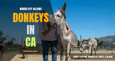 Which City in California Allows Donkeys in City Limits?