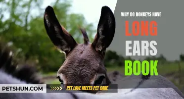 Why Do Donkeys Have Long Ears: Unlocking the Mystery Behind Their Unique Feature