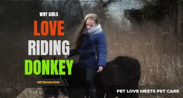 The Joy of Riding Donkeys: Exploring Why Girls Love It