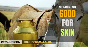 The Amazing Benefits of Donkey Milk for Skin Health