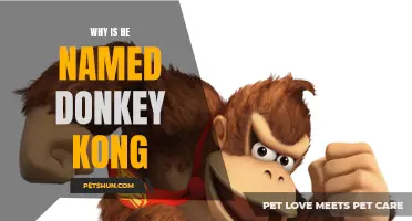 The Origins of Donkey Kong: Unraveling the Story Behind the Iconic Name