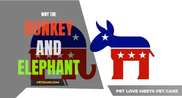 Why the Donkey and Elephant Remain Symbols of American Politics