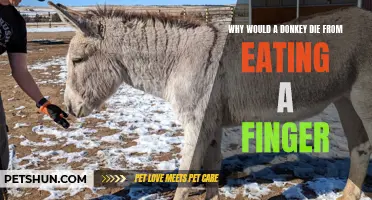 Why Eating a Finger Could Be Deadly for a Donkey: the Shocking Truth