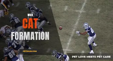 The Wild Cat Formation: An Unconventional Approach to Football Strategy