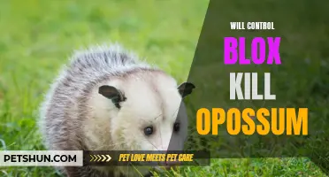 The Impact of Control Blox on Opossums: An Examination of Potential Harm