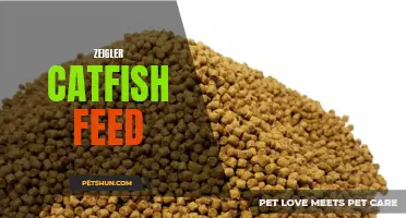 All You Need to Know About Zeigler Catfish Feed